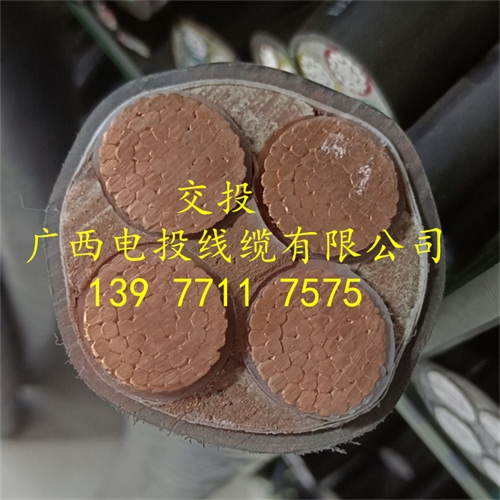 www.0913baby.cn