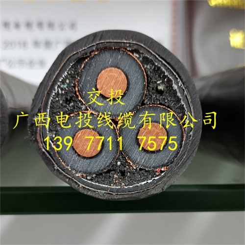 www.0913baby.cn