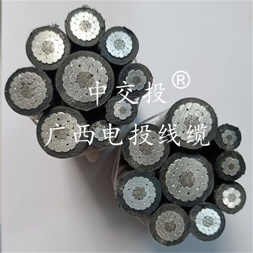www.0913baby.cn