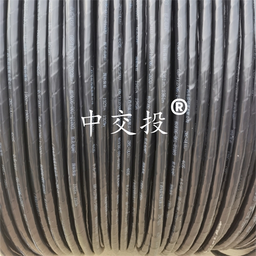 www.0913baby.cn