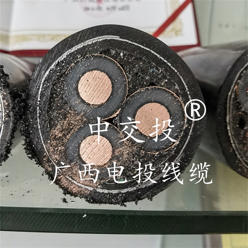 www.0913baby.cn