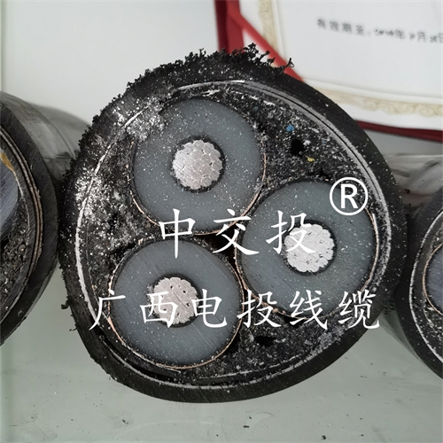 www.0913baby.cn