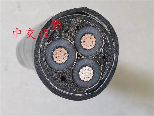 www.0913baby.cn