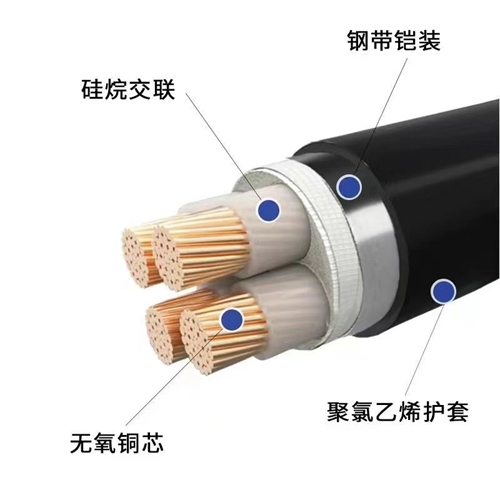 www.0913baby.cn
