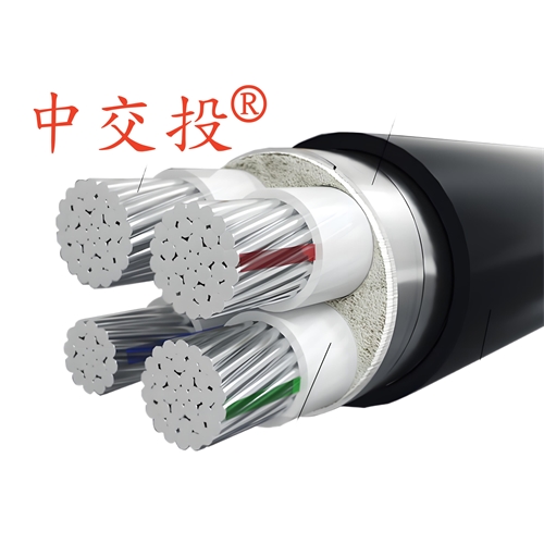 www.0913baby.cn